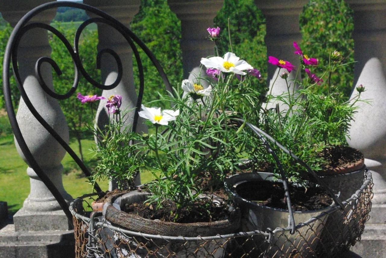 Le Manoir De Crisolles Bed & Breakfast Екстериор снимка